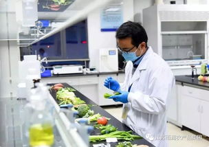 給力！2019全國(guó)農(nóng)業(yè)產(chǎn)業(yè)化龍頭企業(yè)500強(qiáng)發(fā)布，徐州這家企業(yè)憑借檢驗(yàn)檢測(cè)服務(wù)上榜